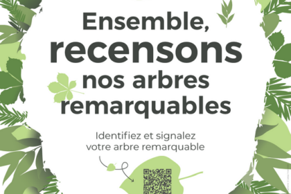 Inventaire arbres remarquables